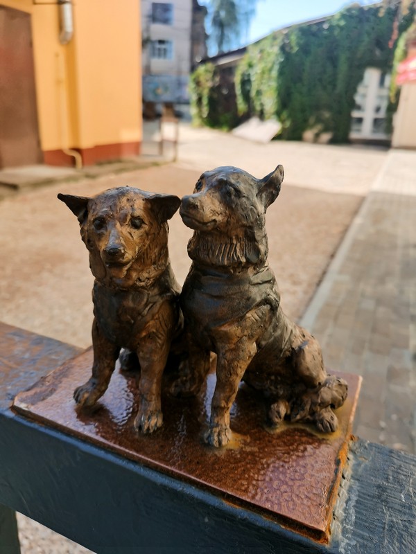 Dog-friendly Калуга: cобачьи истории