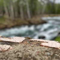 Фото отзыва 7: экскурсия "Ваш идеальный день в&nbsp;Хибинах&nbsp;— путешествие «всё включено»"