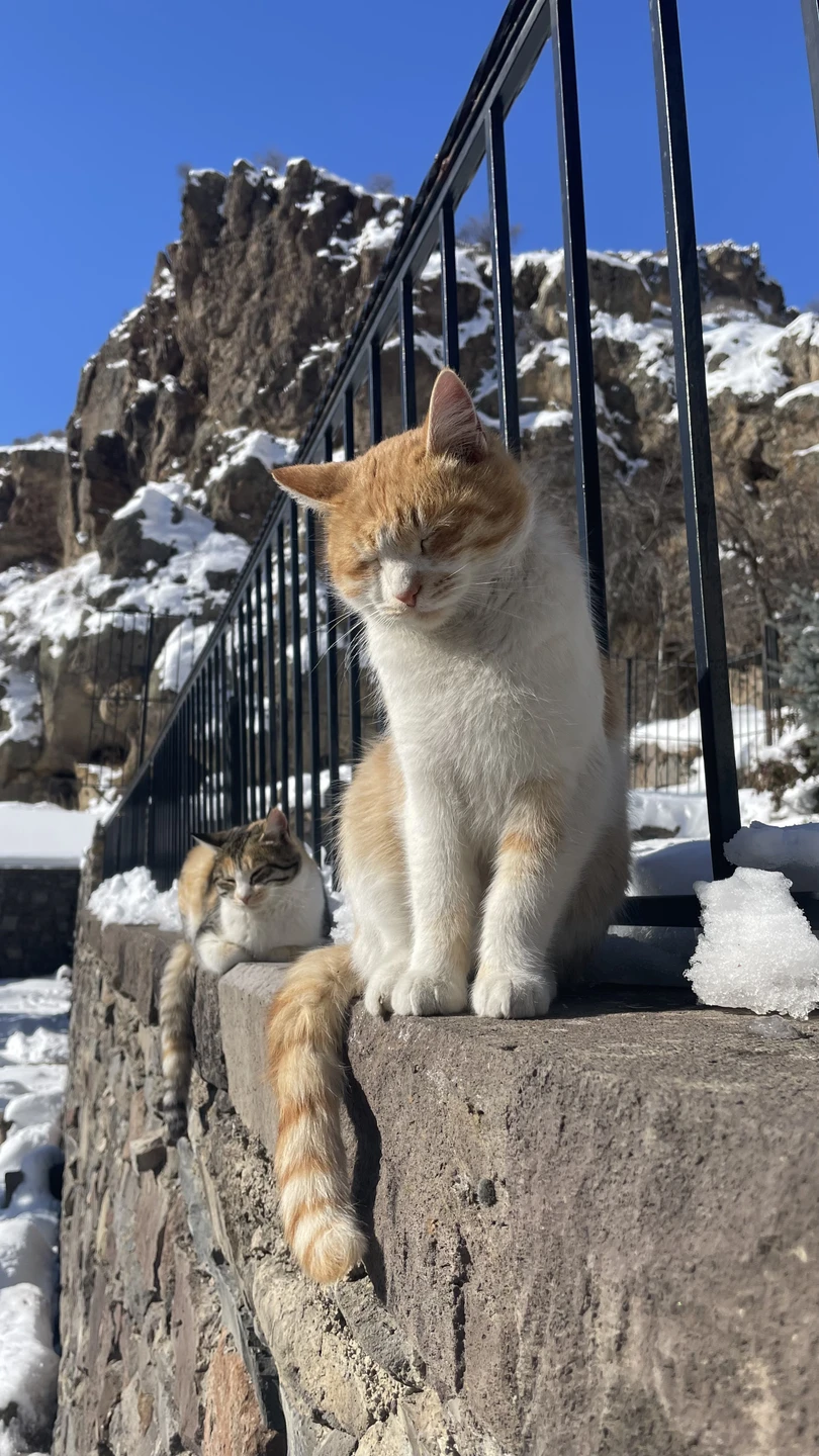 Просто невероятная поездка. Ирина с шикарным чувством юмора. Много интересных фактов рассказывается по дороге и около