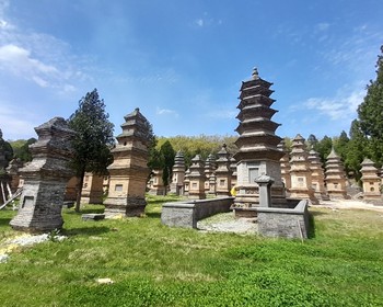 Монастырь Шаолинь, история боевых искусств и лес Пагод