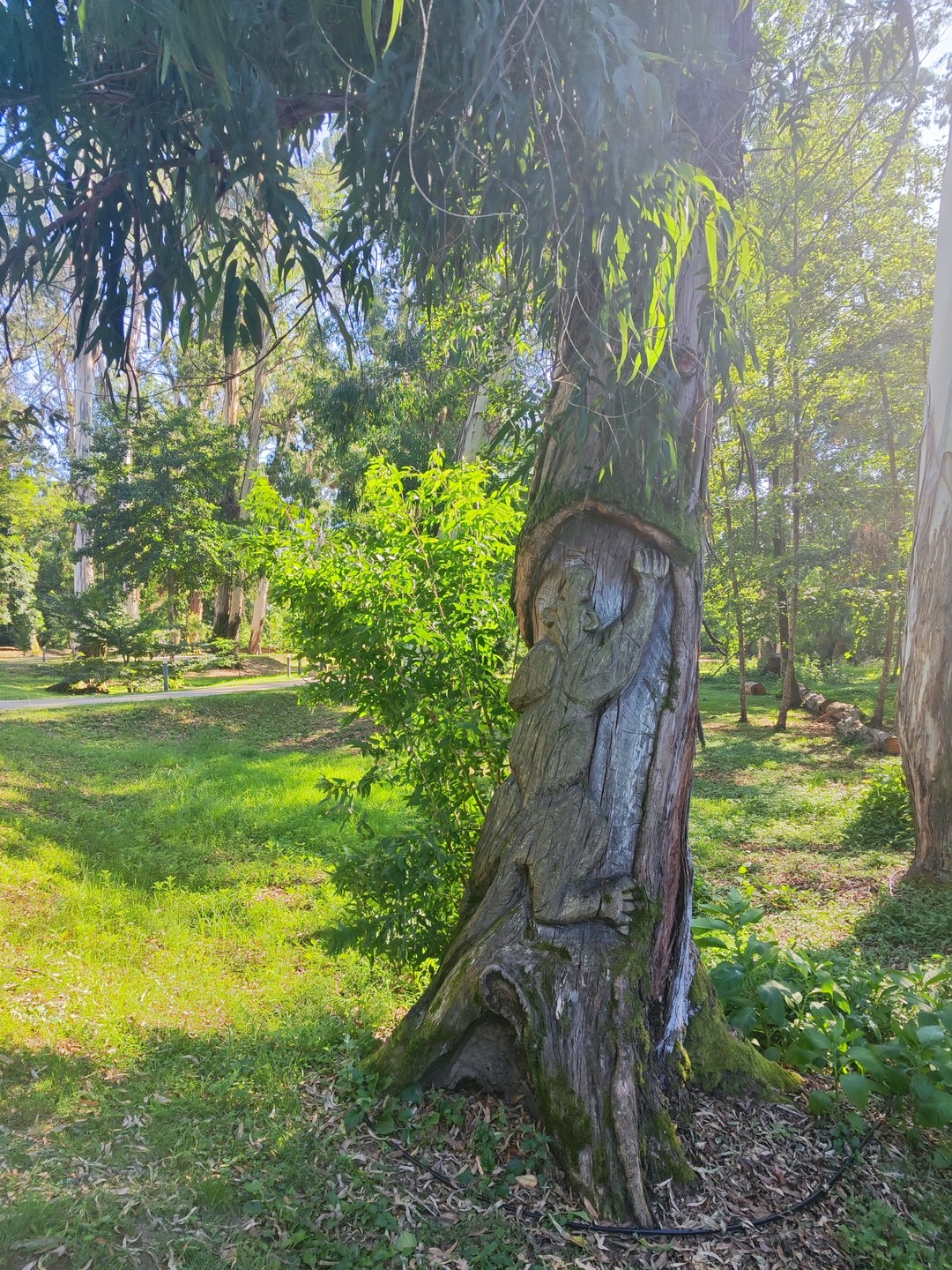 Батуми, Аджария и Гурия за один день (Анна)