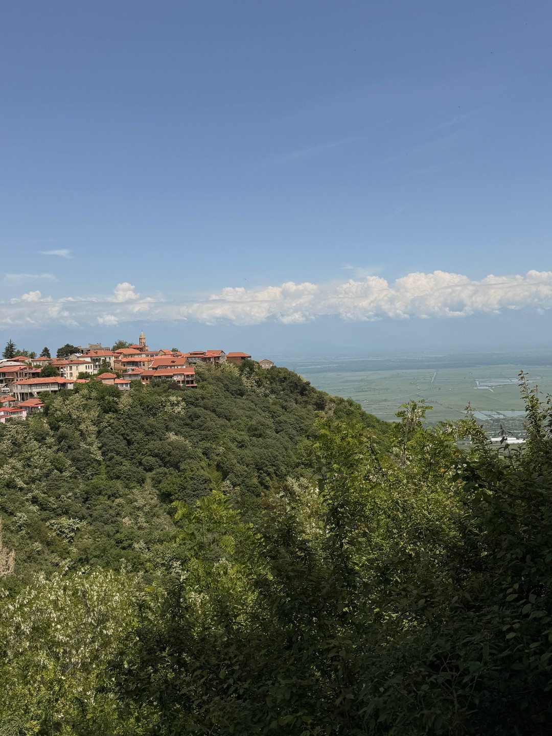 Кахетия: вино, легенды и красота (в группе) (Валерия)