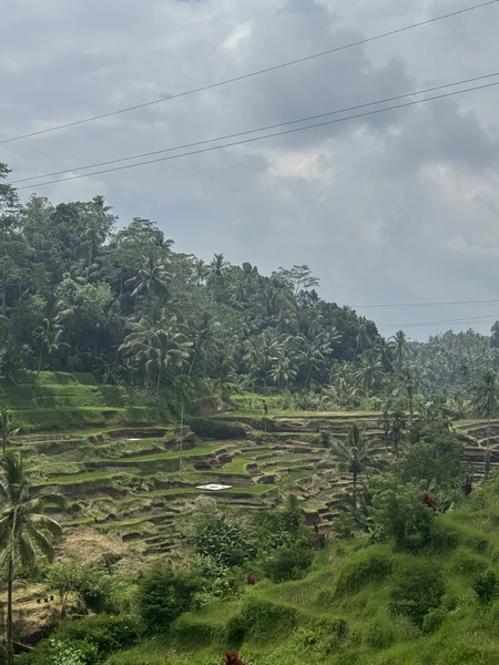 замечательная экскурсия от великолепного гида Мади! Мы проехали 10 часов с юга на север, увидев водопад