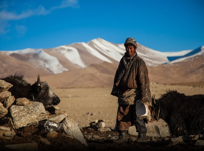 Ветер степей и жар пустыни: 4500 км на джипах по Монголии с ночёвками в юртах