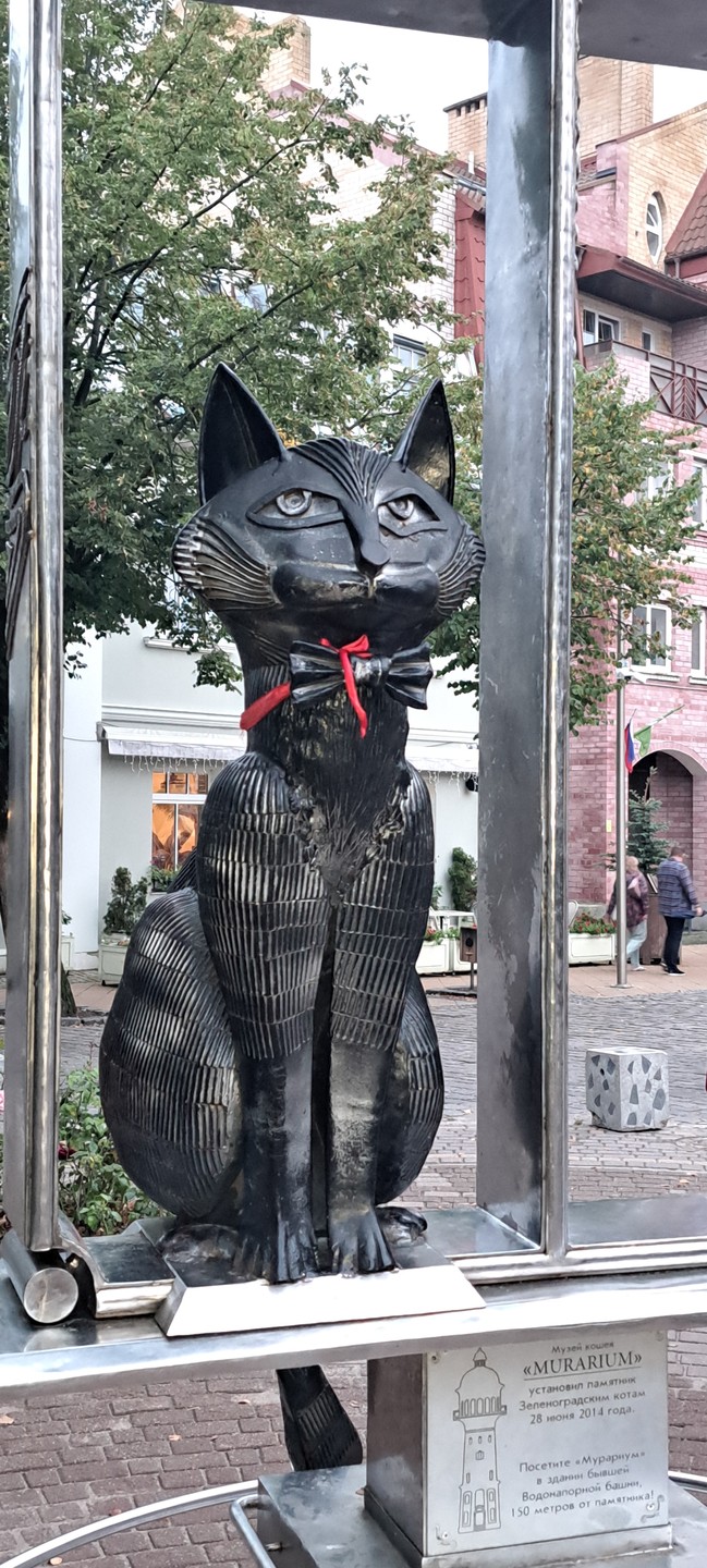 Куршская коса и Зеленоградск за 1 день (из Калининграда) (Жанна)