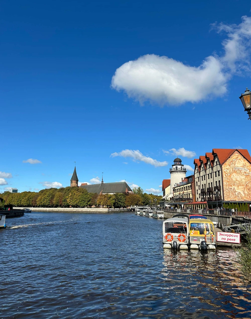 Лучший день в Калининграде: экскурсия по центру + дегустация сыра