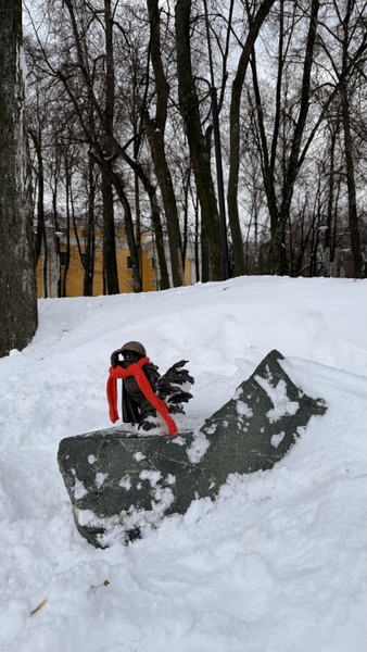 Рязань сквозь века (Игорь)