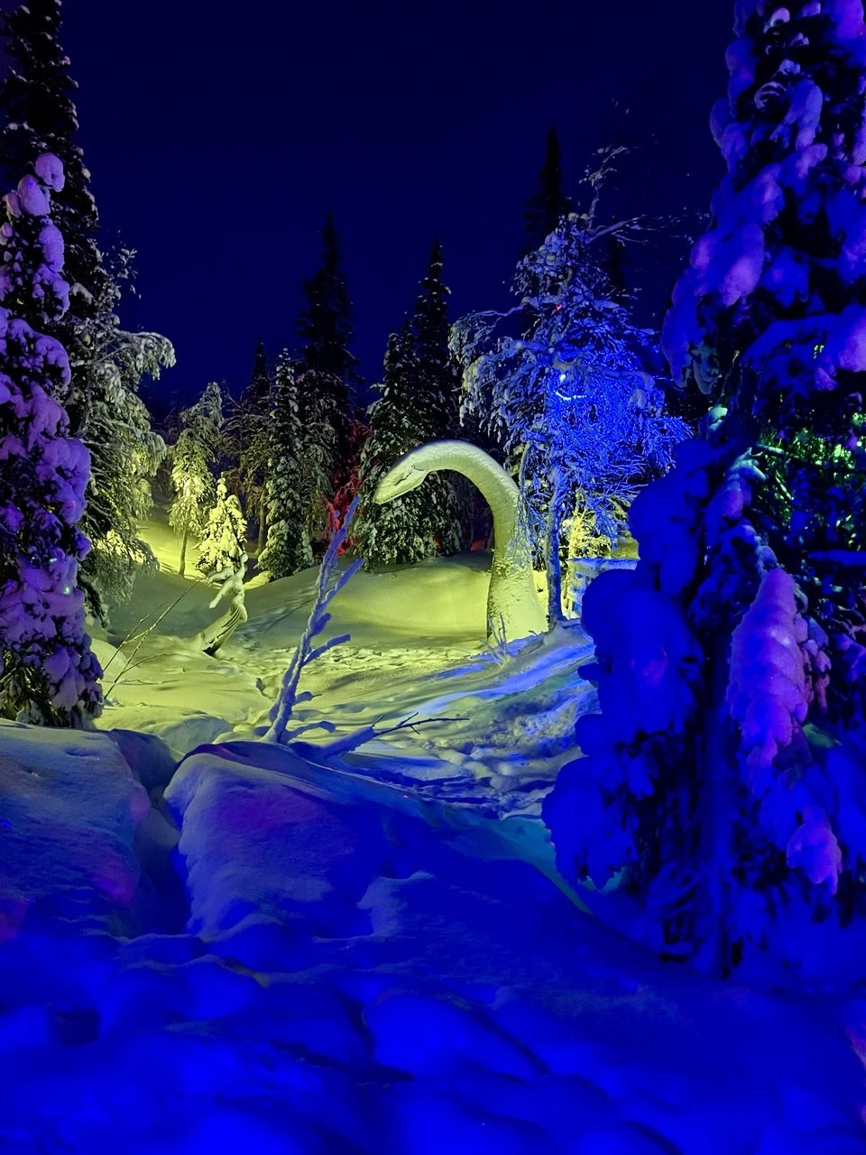 Мой отзыв для тех, кто хотел бы провести несколько незабываемых дней на Кольском полуострове без забот