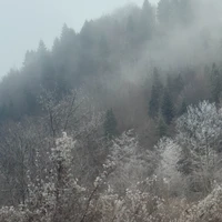 Фото отзыва 3: экскурсия "Влюбиться в Черногорию"