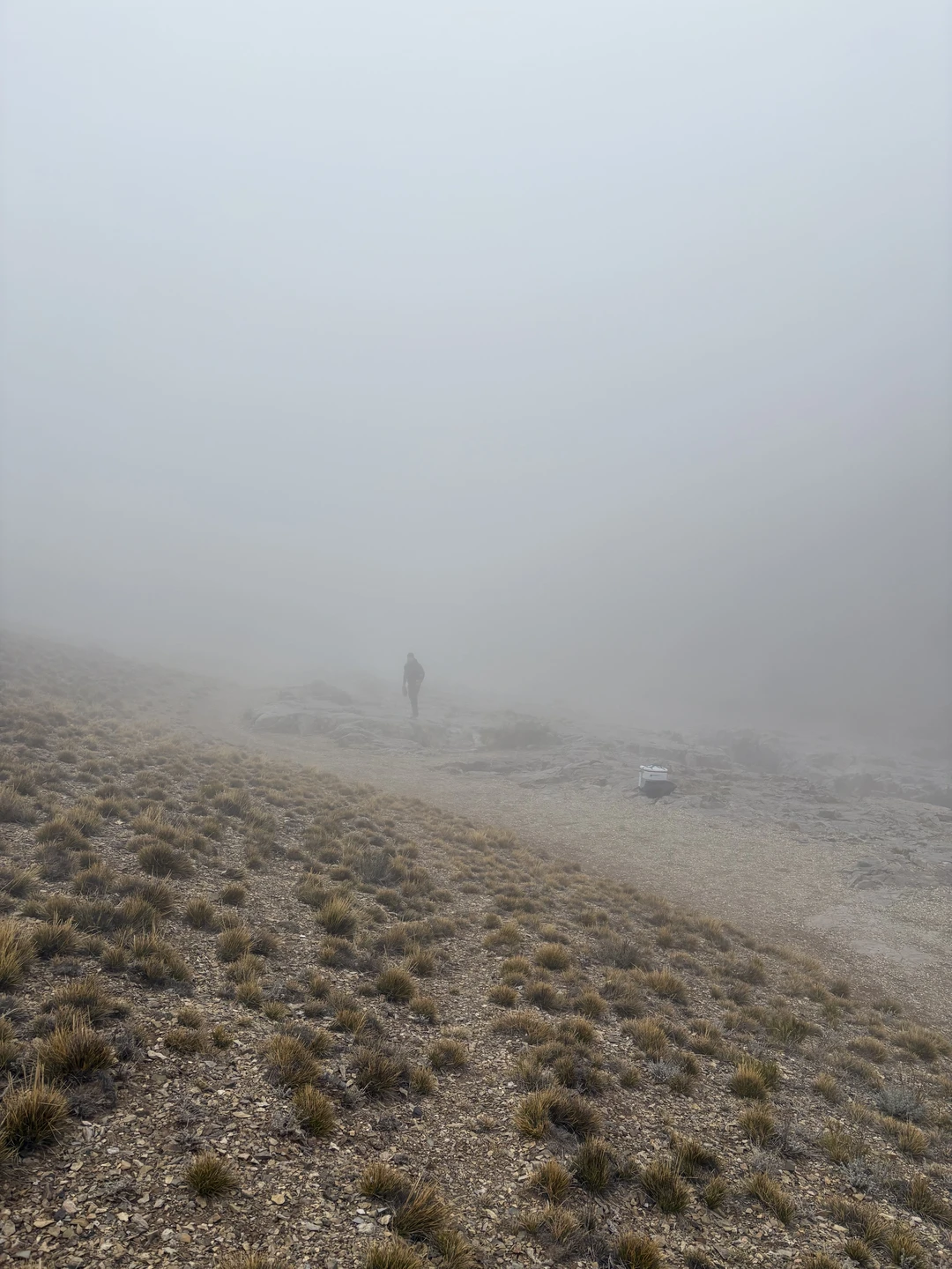 Это был действительно особенный опыт. Вячеслав интересный собеседник, который искренне любит природу и знает, как показать самые увлекательные места