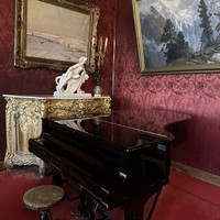 Фото отзыва 2: экскурсия "Экскурсия во Владимирский дворец в Петербурге"