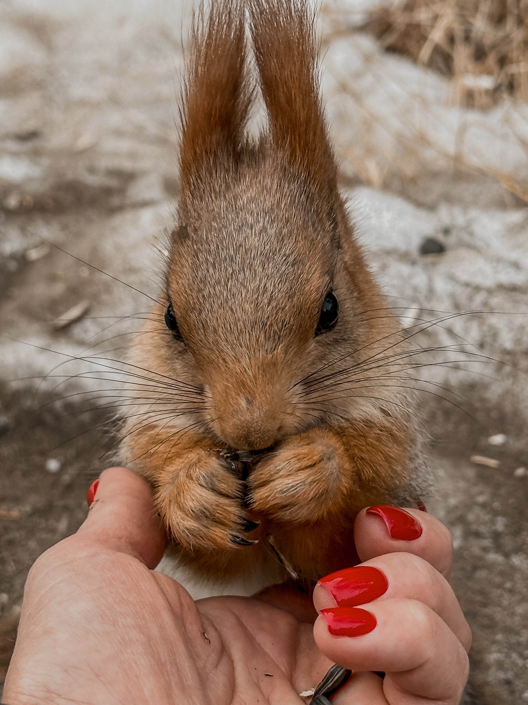 Прекрасный проводник Сергей, чудесный поход в горы, куча впечатлений! Очень рекомендую эту экскурсию, мы с подругой были в восторге!