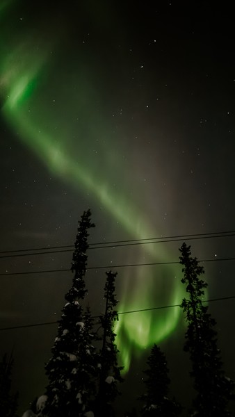 Несмотря на то, что прогноз был не нашей стороне и нас об этом сразу предупредили мы