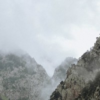 Фото отзыва 8: экскурсия "В Грузию из Махачкалы: Тбилиси, Мцхета и Кахетия"