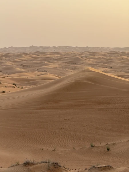 Сафари в Дубае: магия заката в пустыне без кемпов и шоу-программ (Даша)
