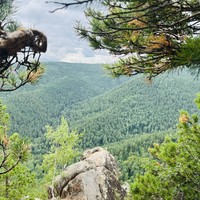 Фото отзыва 5: экскурсия "Красноярские Столбы: перезагрузка души и тела"