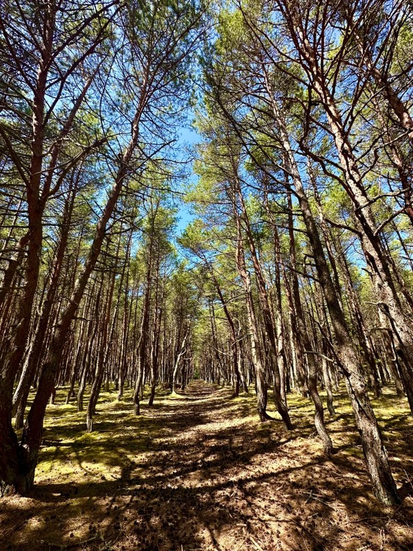 Виды Виллы, форт, коса, курорт... и замок!