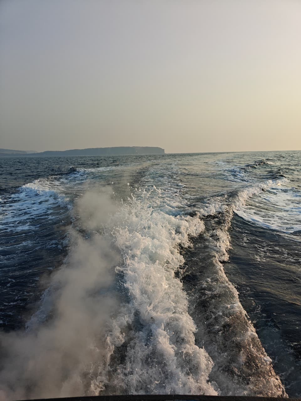 Морское приключение во Владивостоке: мыс Тобизина, котики и морепродукты (Александра)