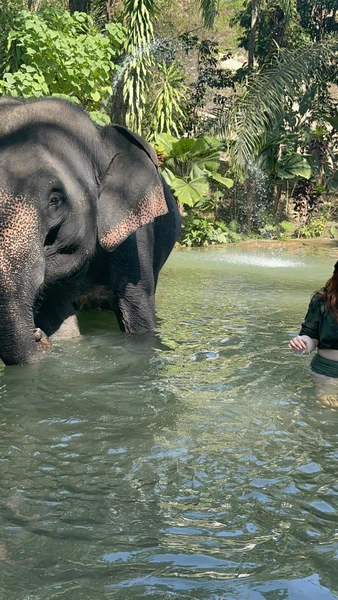 Начитался тут местами негативных отзывов, лучше бы не читал, меньше бы думал брать экскурсию или нет