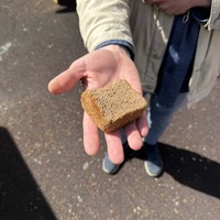 Фото отзыва 1: экскурсия "Петербург в блокадных дневниках"