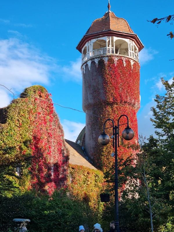 Три в одном: Куршская коса, Зеленоградск и замок Нессельбек