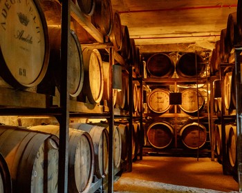 Дегустация на винодельне Quinta da Aveleda, обед в панорамном ресторане, прогулки по Ламегу