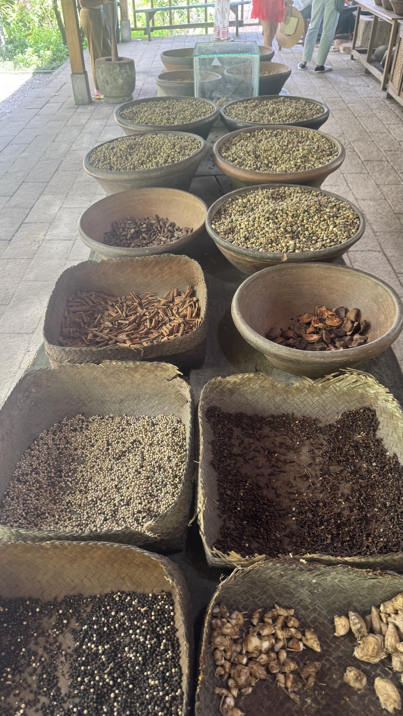 Экскурсия отлично подходит для первого знакомства с Бали. Полагаю, гид Путу именно под наш уровень адаптировала