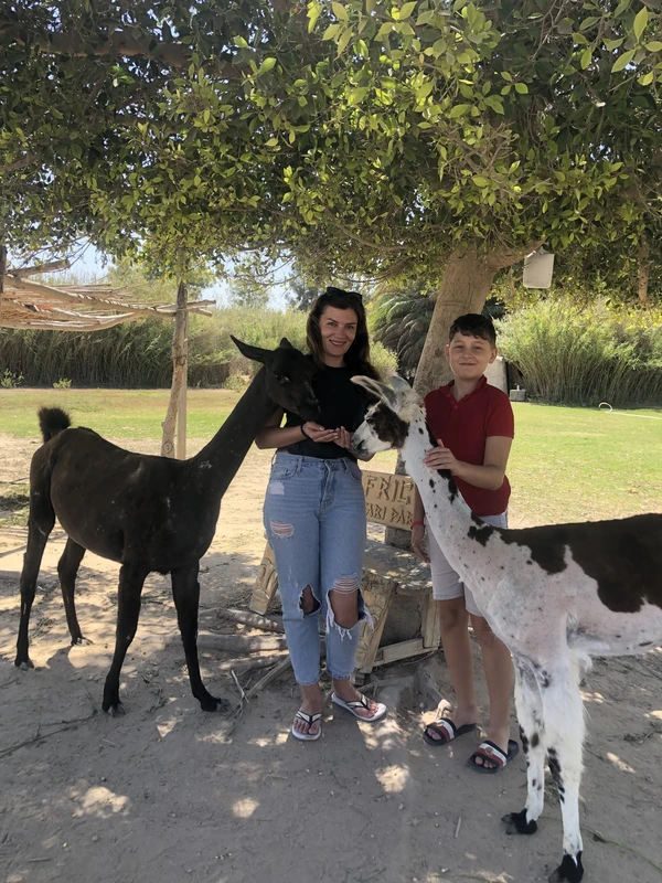 Сафари в Египте: приключение со стартом из Хургады