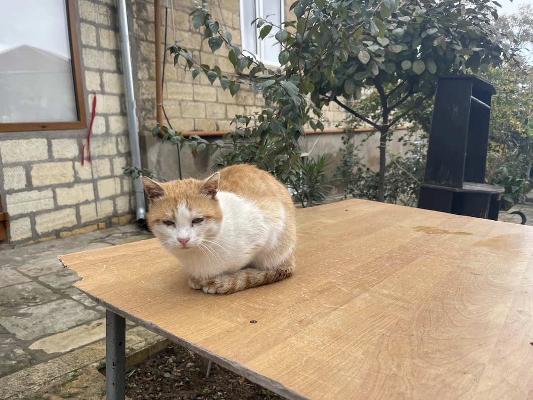 Интереснейшая и познавательная экскурсия по Дербенту, для тех кто уже побывал в крепости и хочет погрузиться