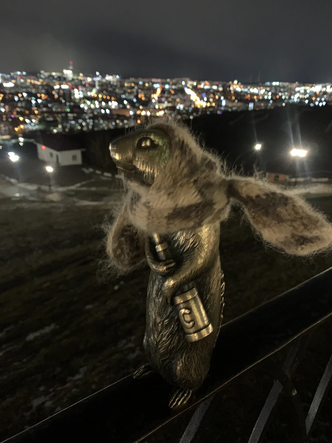 Приехала в командировку на 2 дня. Очень обрадовалась увидев экскурсию вечером. Несмотря на зимнее и позднее