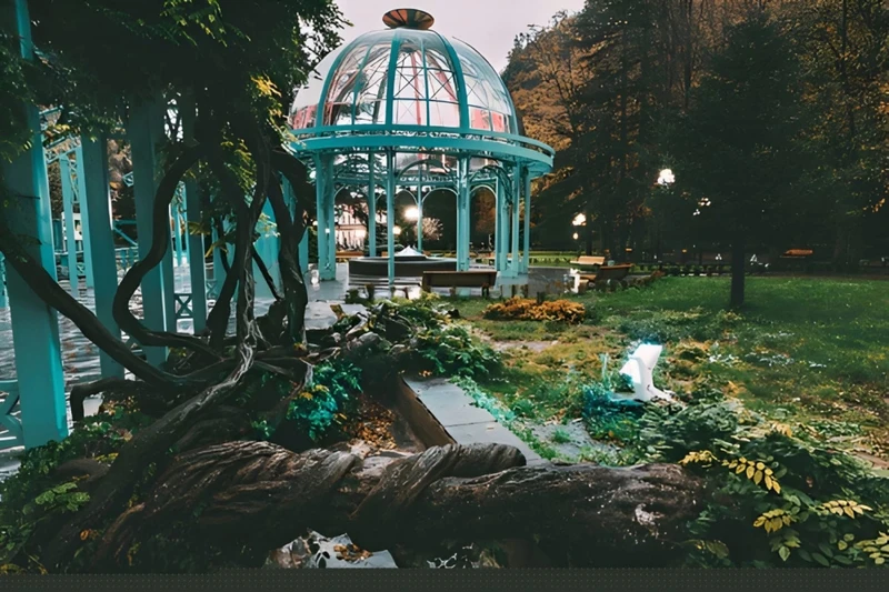 Боржоми + Bakuriani Ski Resort