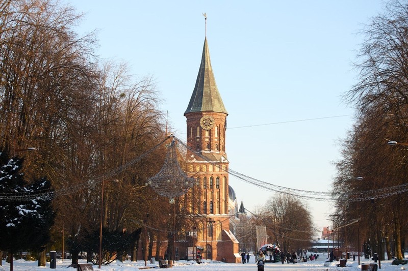 Комфортно, весело и по-настоящему. Нам повезло, Нус настолько легко и душевно общается, что сразу создаётся ощущение