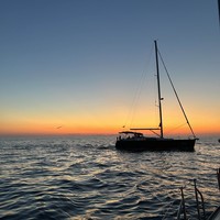 Фото отзыва 4: экскурсия "Морская прогулка «По&nbsp;следам дельфинов»"