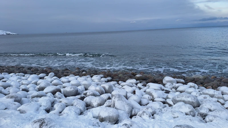 Спасибо огромное организаторам) Ездили в Териберку, все очень понравилось) Гид Павел- красавик! Очень интересно рассказывал и