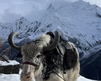Подъём на Мусса-Ачитару, «Летающая тарелка» и озеро Кара-Кёль