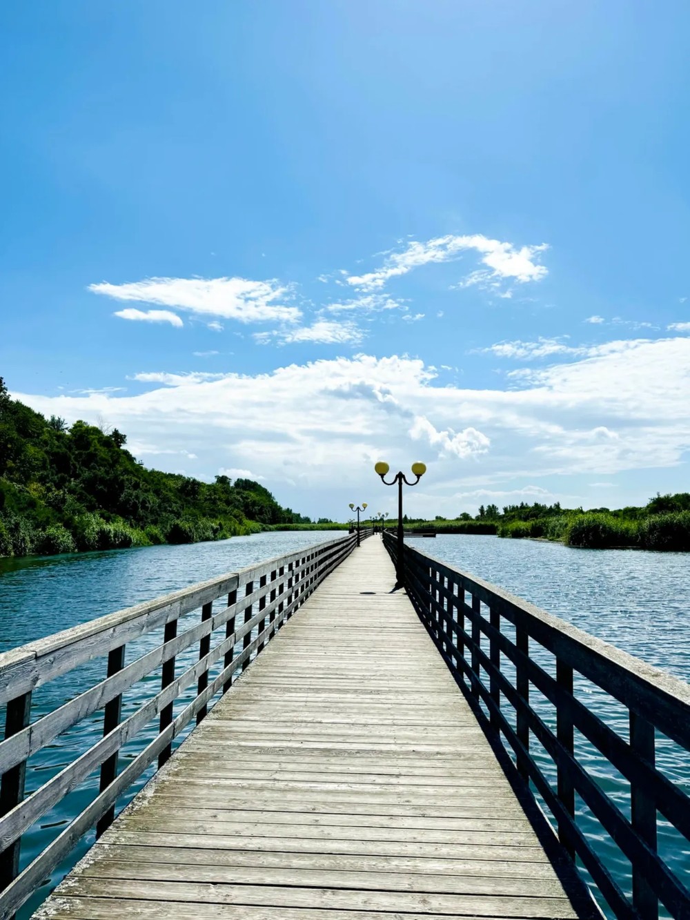 Янтарная Ривьера: Янтарный, Светлогорск, Пионерский и сыроварня