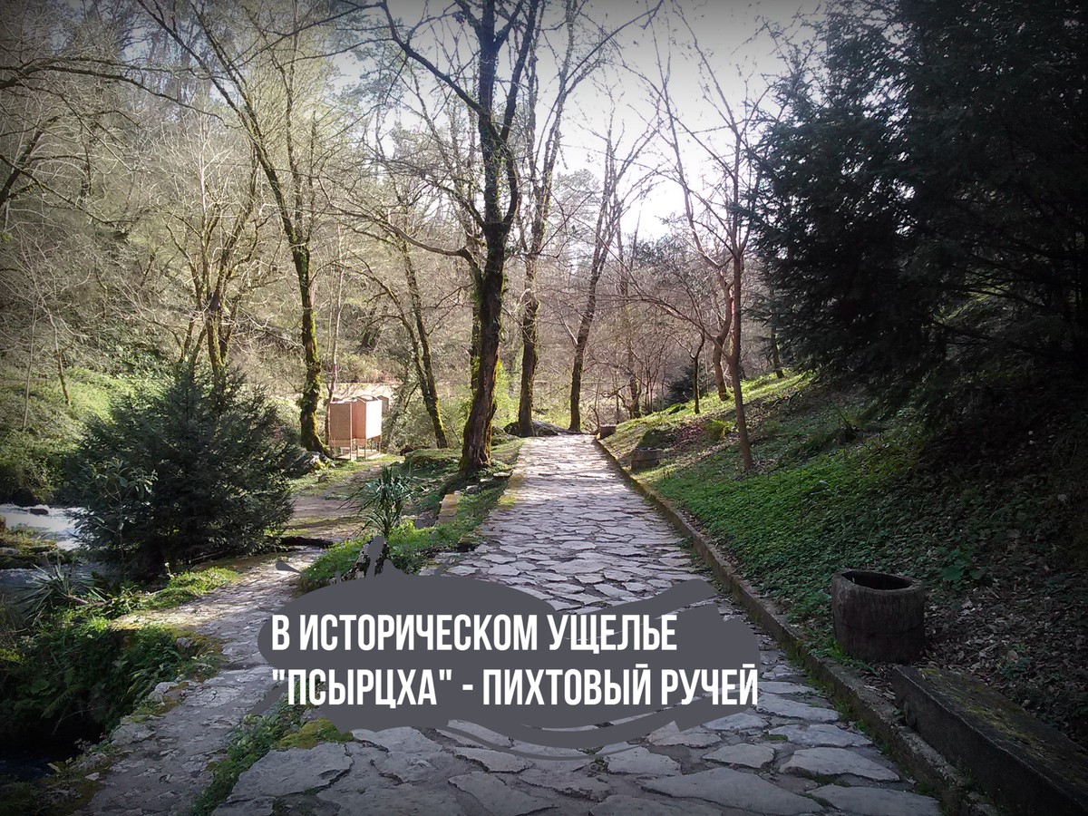 Через Гагру в Новый Афон (из Сочи)