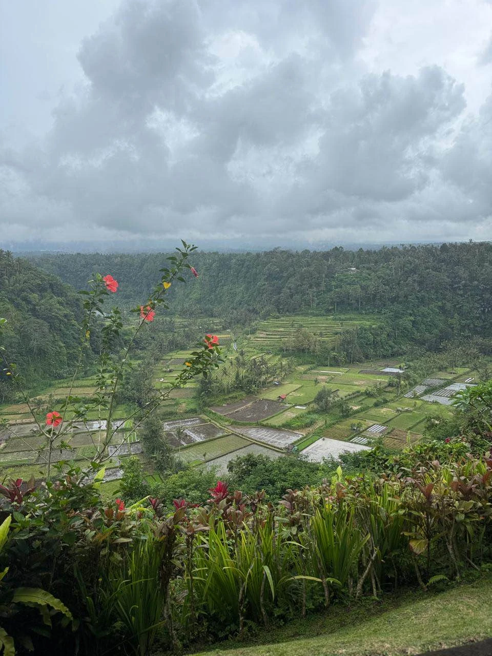 Сегодня была обзорная экскурсия по Бали с замечательным гидом Ваяном! Посетили два храма, кофейную плантацию, попробовали
