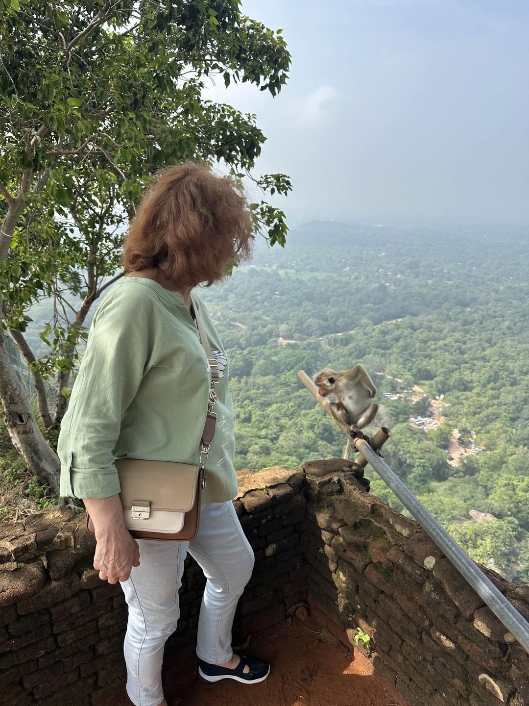 Очень вовлеченный и ответственный организатор. Но, конечно, на Шри-Ланку нужно намного больше времени чем 1 световой день:)