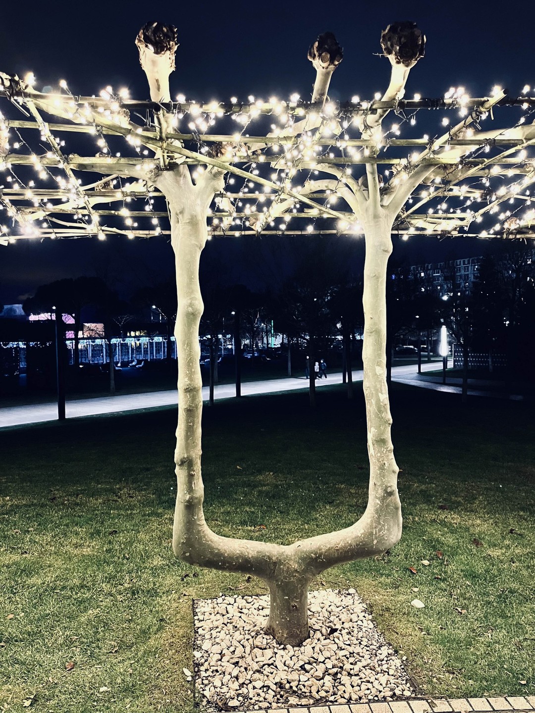 Андрей классный! Нам все понравилось!!!