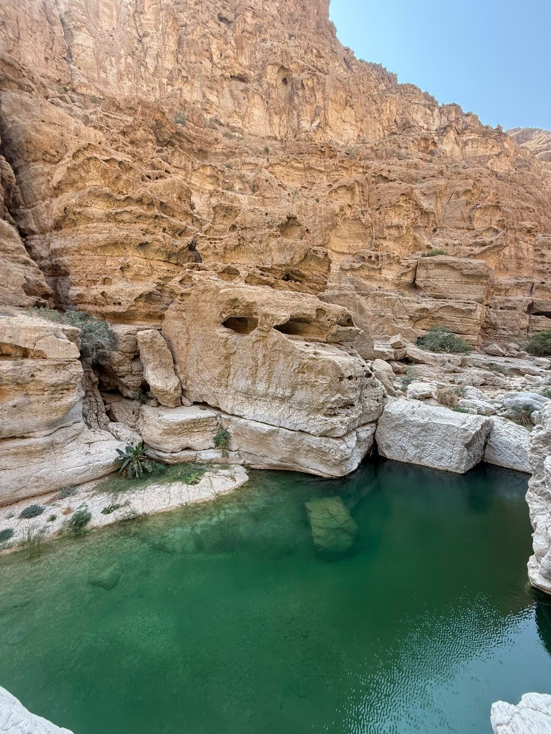 Ольга влюбила нас в Оман! Городская экскурсия, которую мы забронировала была очень интересна. Мои дети 13