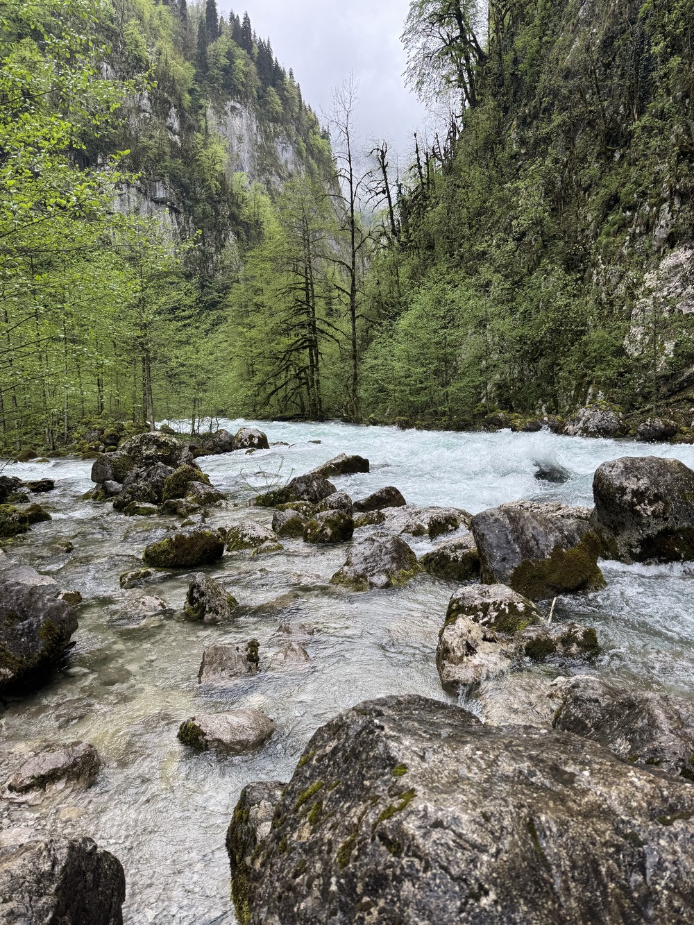 Гагра и озеро Рица: поездка из Сочи (12/16)
