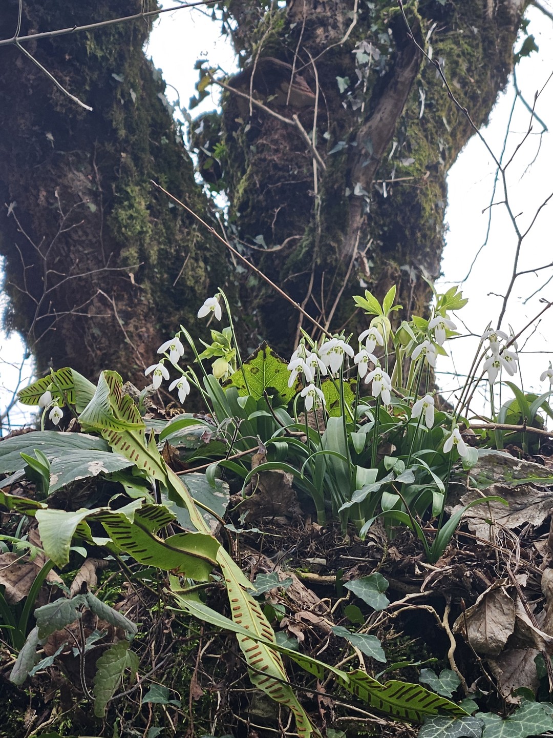 Если бы можно было поставить 1000 пятерок, я бы это сделала!