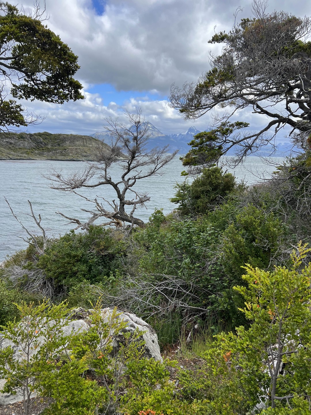 Самые лучшие рекомендации Дмитрию! Отличный гид и прекрасный собеседник. Дмитрий встретил нас по прилету в аэропорту,