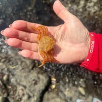 Фото отзыва 1: экскурсия "По Южному кольцу Сахалина: Охотское и Японское моря, бухта Тихая и руины японских храмов"