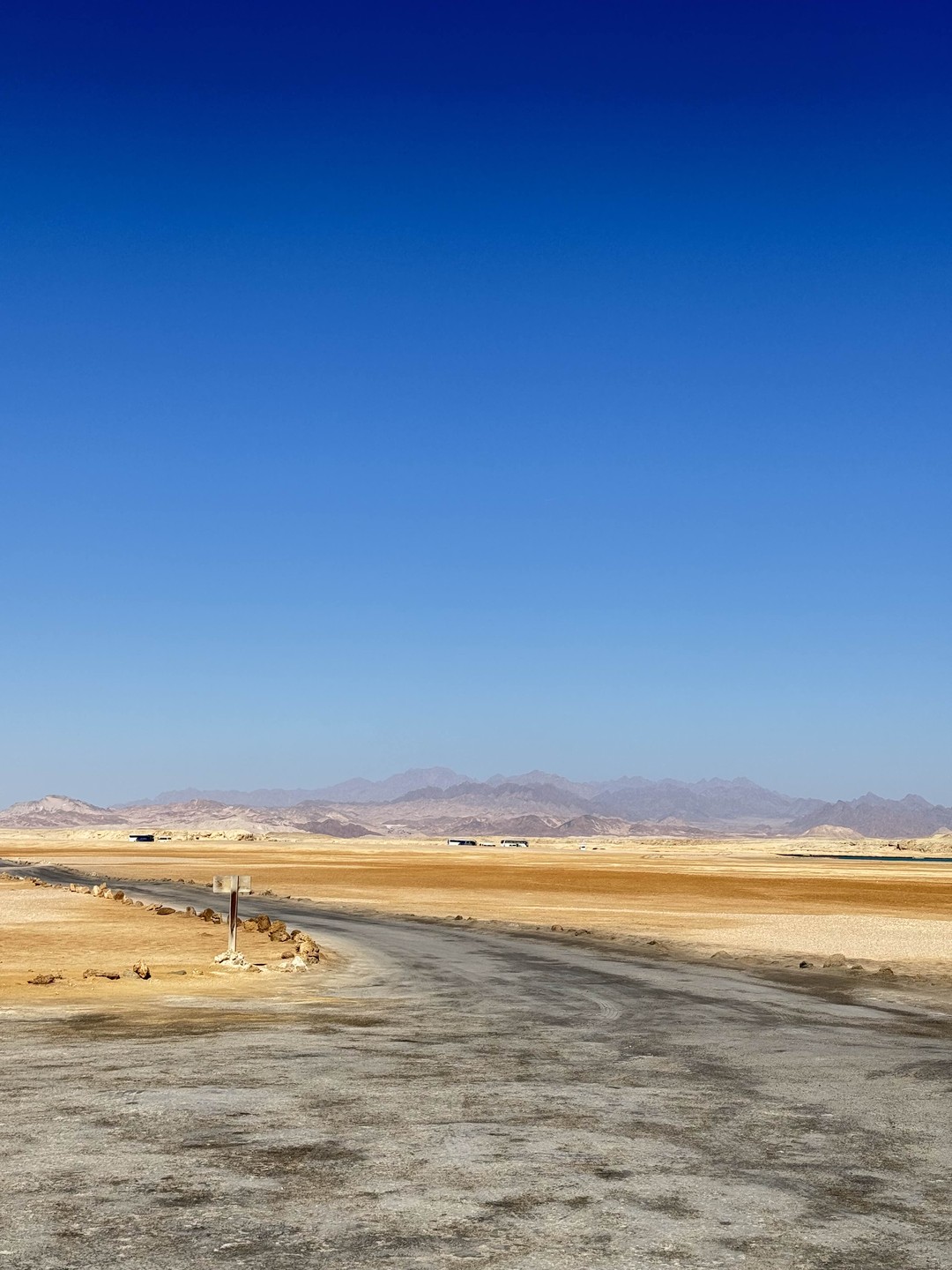 Отлично съездили с Мустафой в Рас Мухаммед. Увидели красоту-наземную и подводную. Муж с сыном в восторге