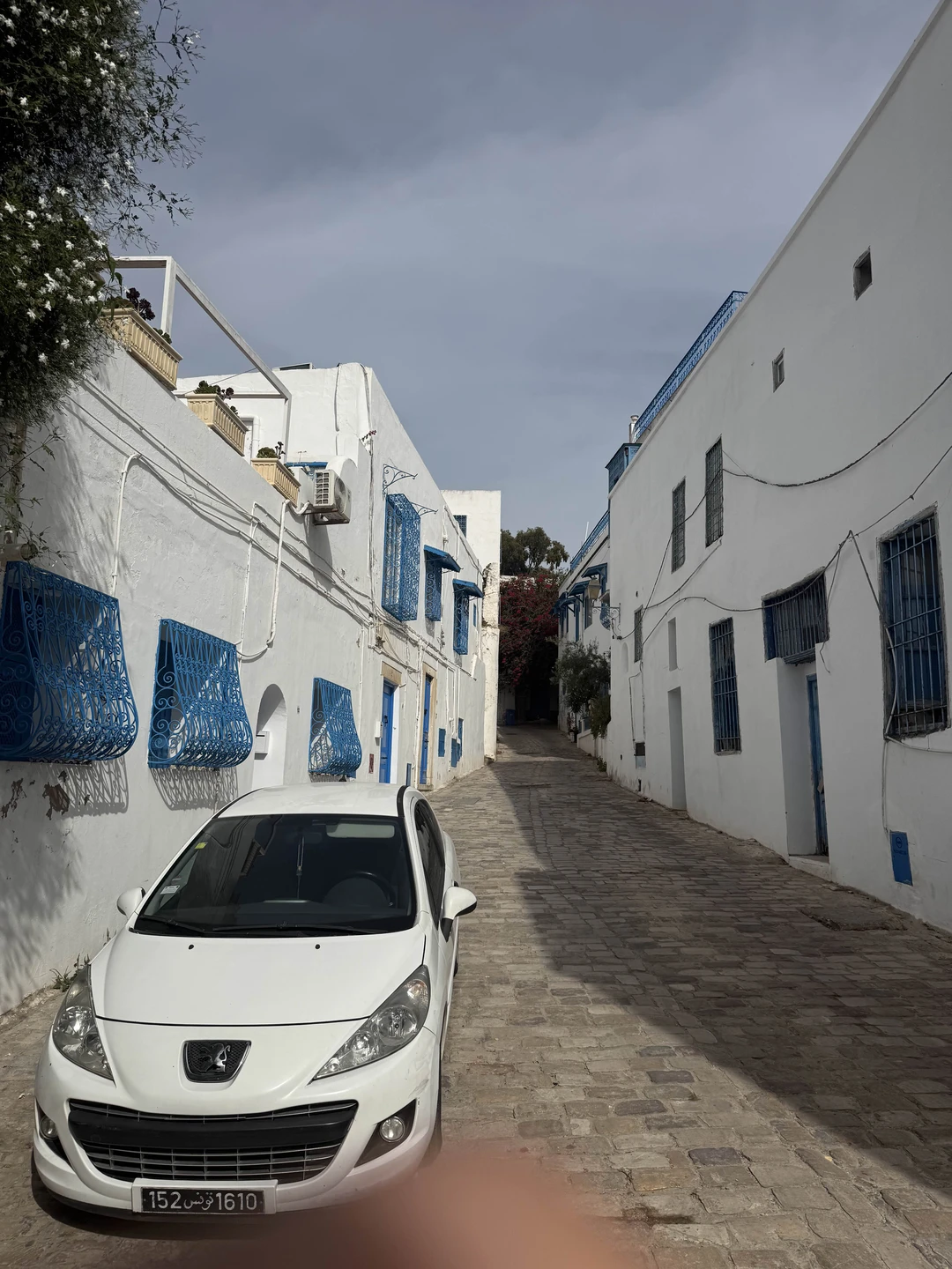 Всё было круто! Советуем