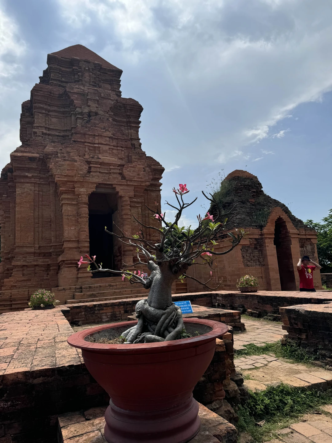 Вчера были на экскурсии с гидом Таней. Комфортный автомобиль, рассказ из первых уст (Таня вьетнамка, которая