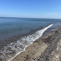 Фото отзыва 2: экскурсия "Куршская коса для детей и взрослых"