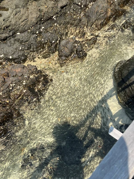 Сам остров красив, а точнее его пляж с бирюзовой водой, мелкий белоснежный песок и скалы (девочки, фоточки будут суперские)